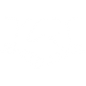 handshake 1 300x300 - handshake